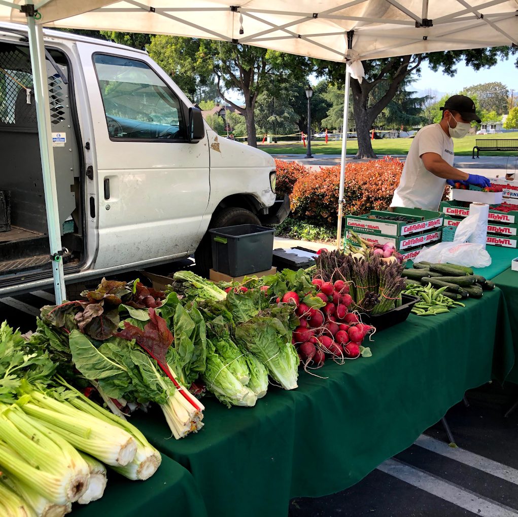Farm produce on a green tablecloth